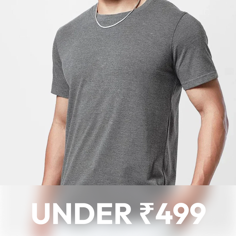 Under ₹499