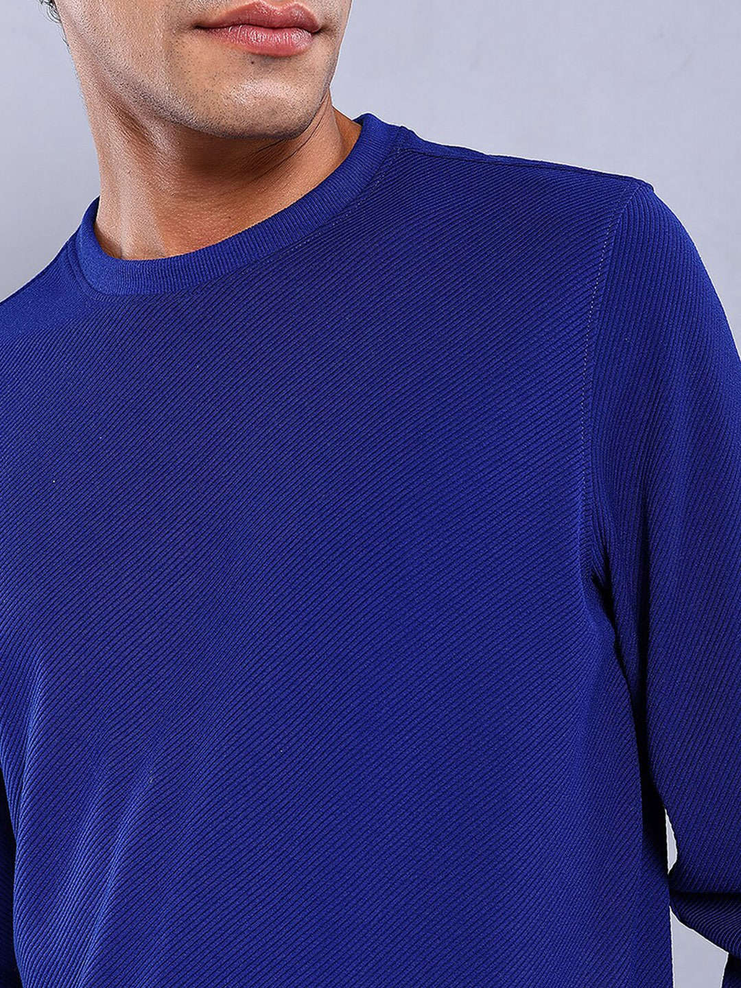 Men's Textured Regular Fit Sweatshirt