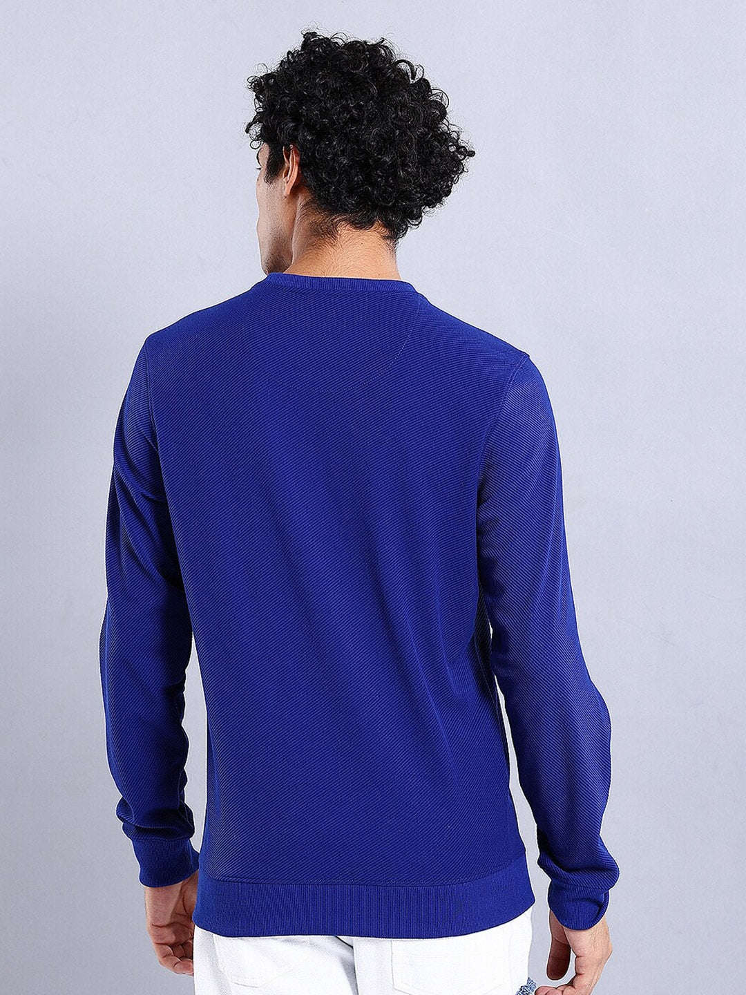 Men's Textured Regular Fit Sweatshirt