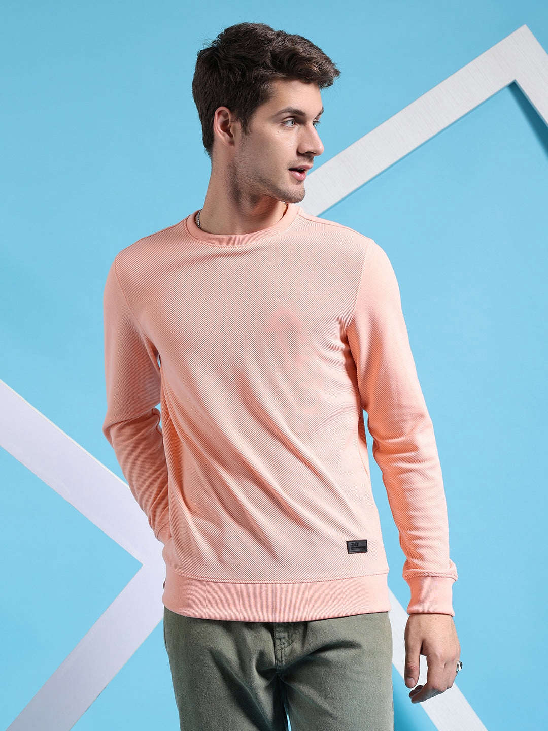 Men's Textured Regular Fit Sweatshirt