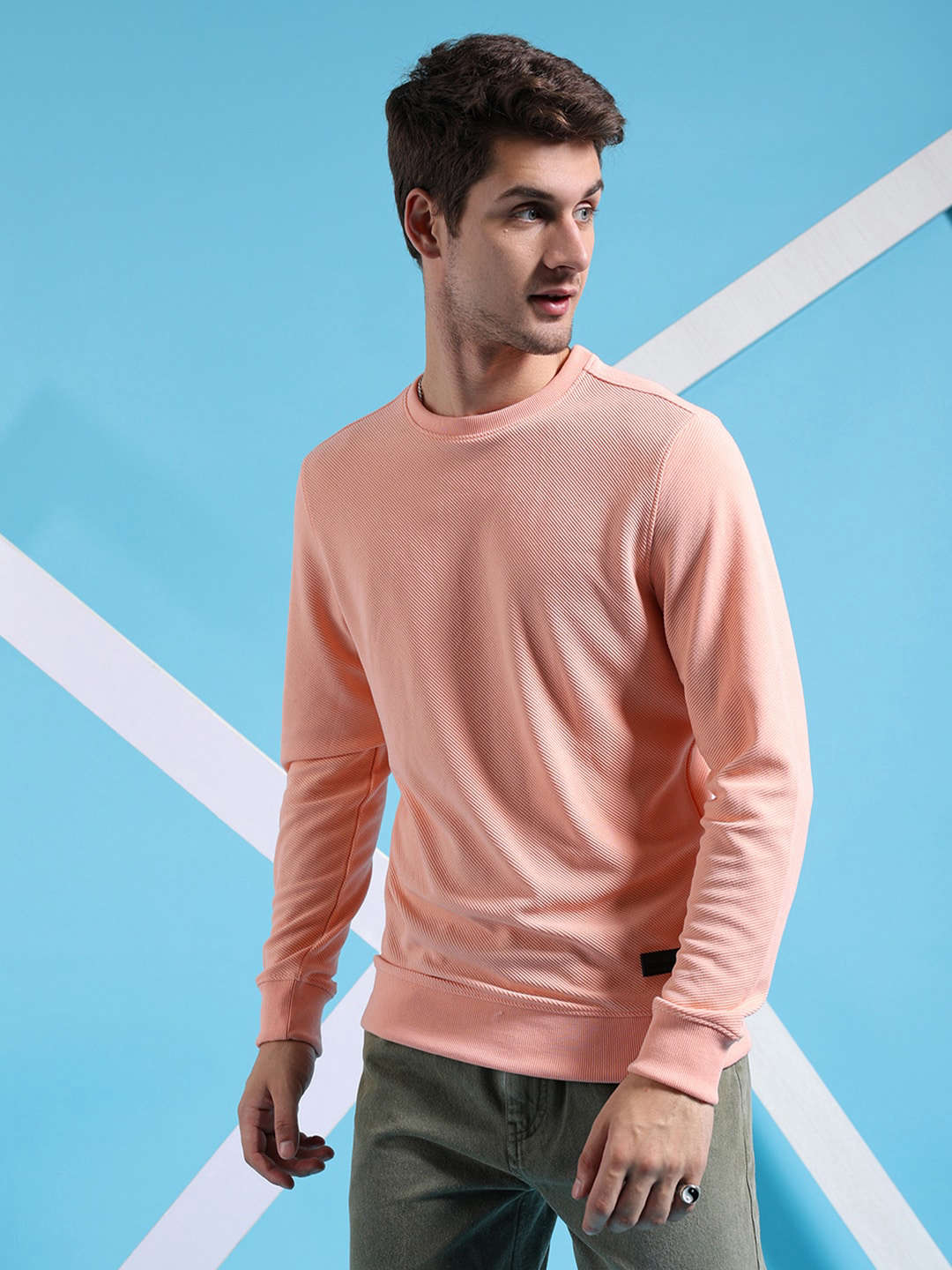 Men's Textured Regular Fit Sweatshirt