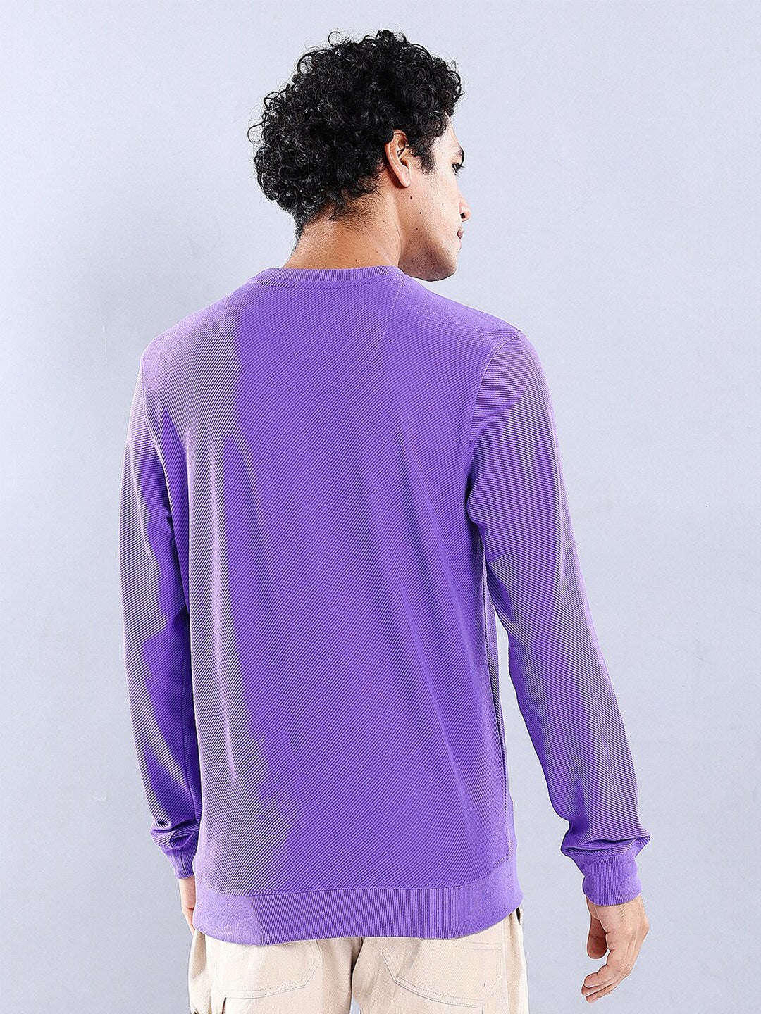 Men's Textured Regular Fit Sweatshirt