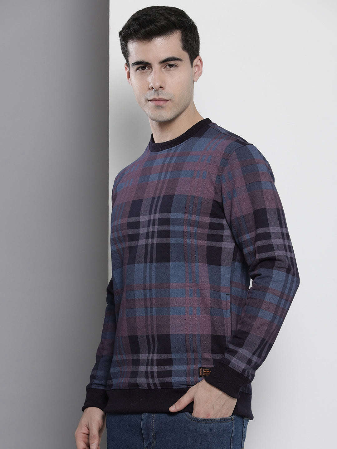 Men's Checked Regular Fit Sweatshirt