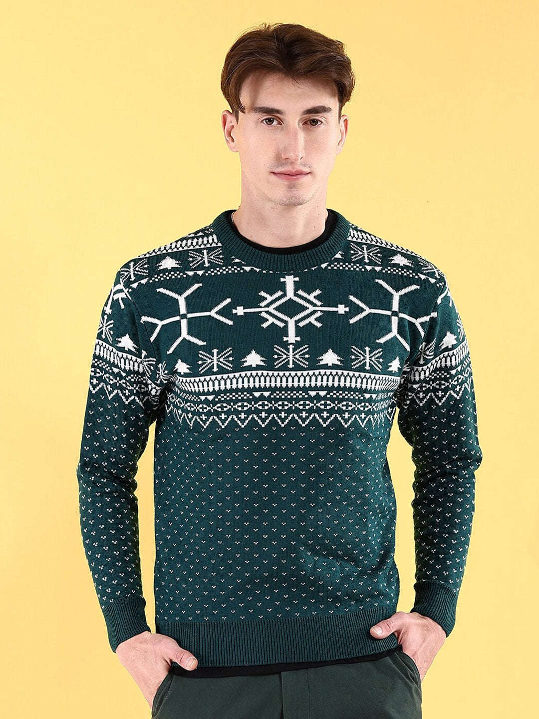 Men's Printed Regular Fit Sweater