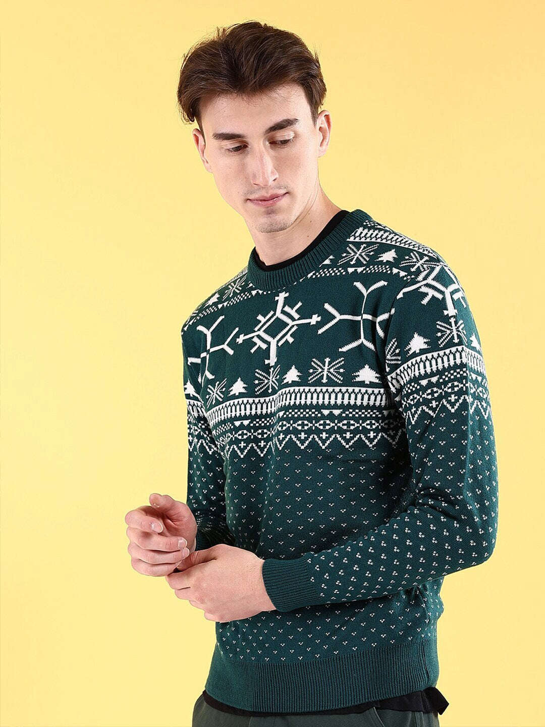 Men's Printed Regular Fit Sweater