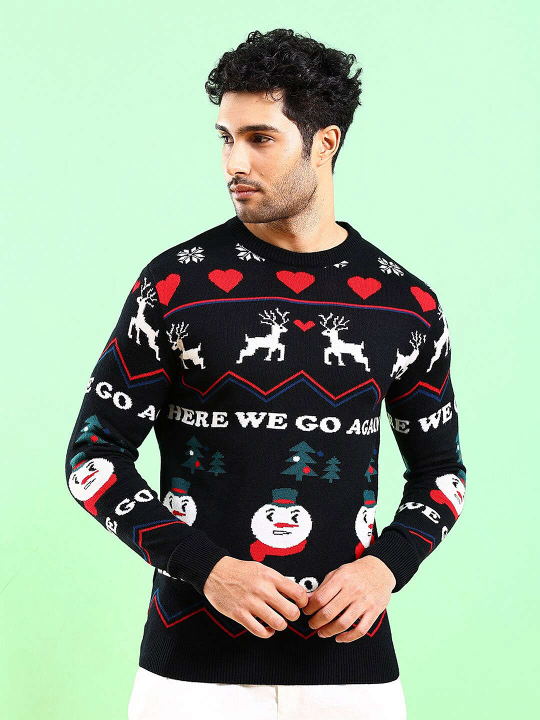 Men's Printed Regular Fit Sweater