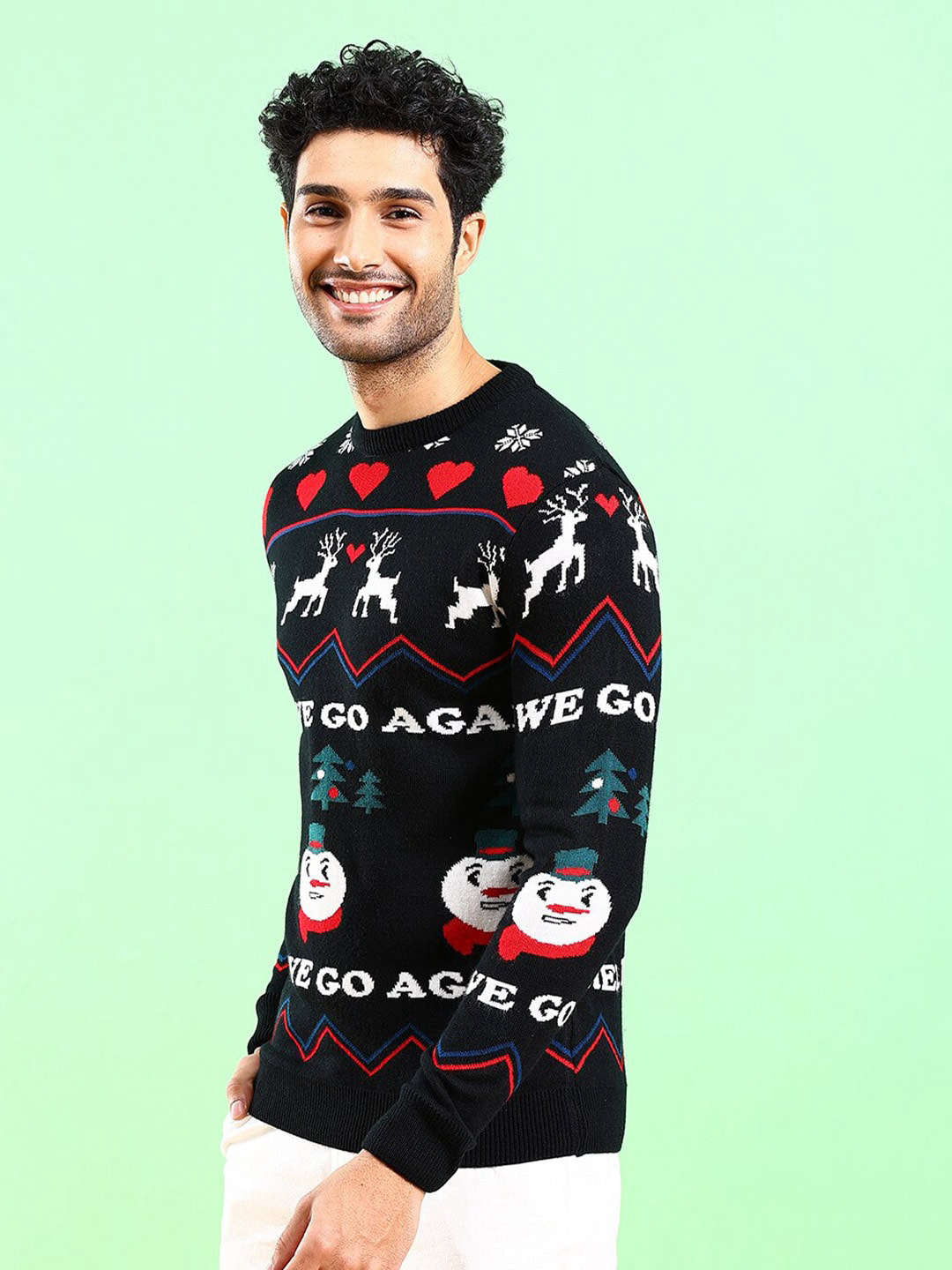 Men's Printed Regular Fit Sweater