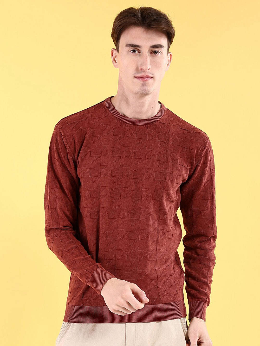 Men's Textured Regular Fit Sweater