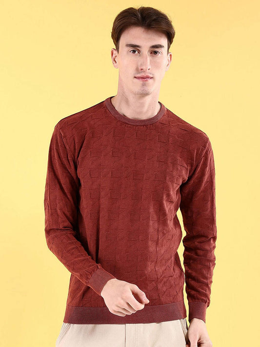 Men's Textured Regular Fit Sweater