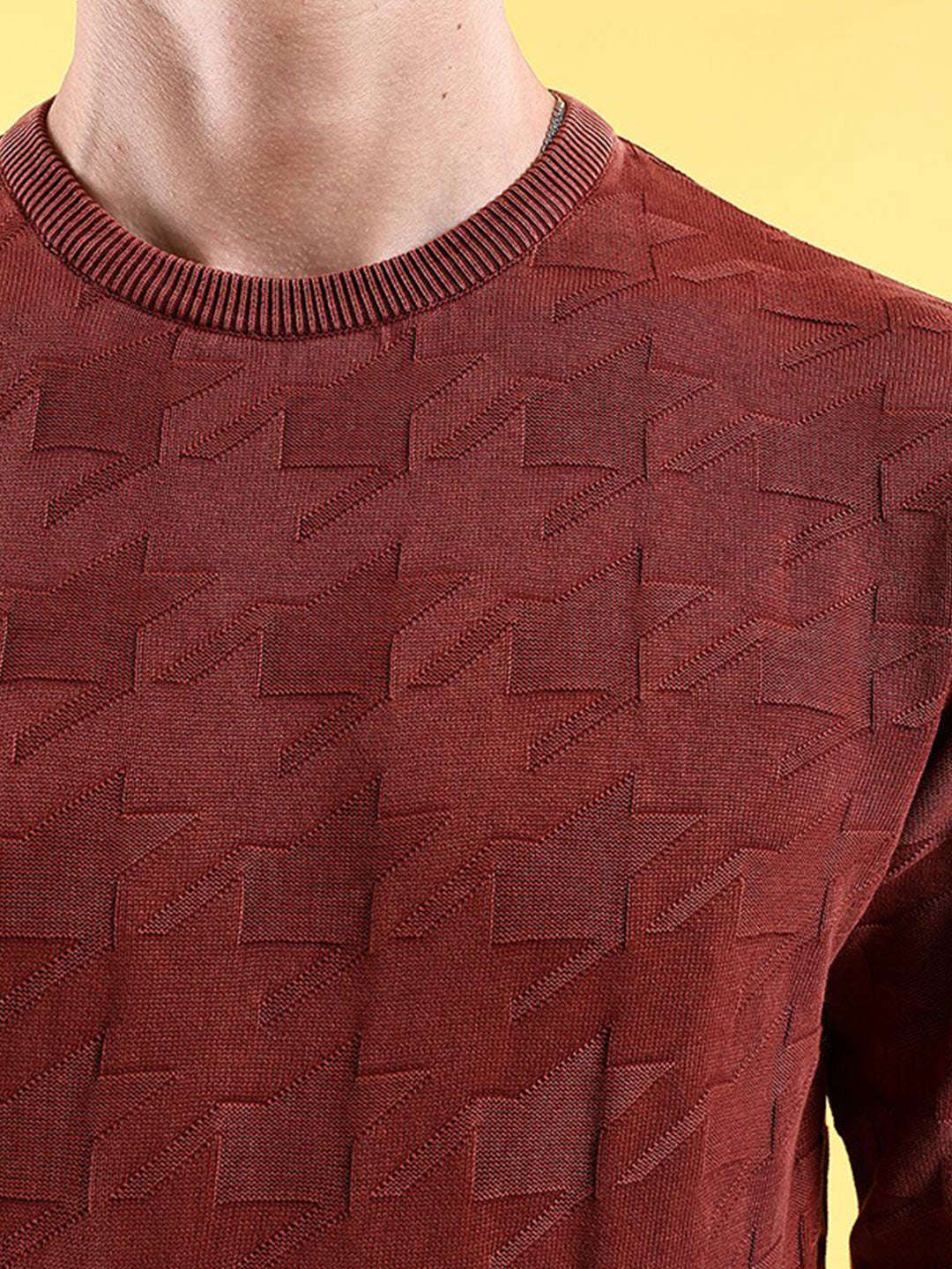 Men's Textured Regular Fit Sweater