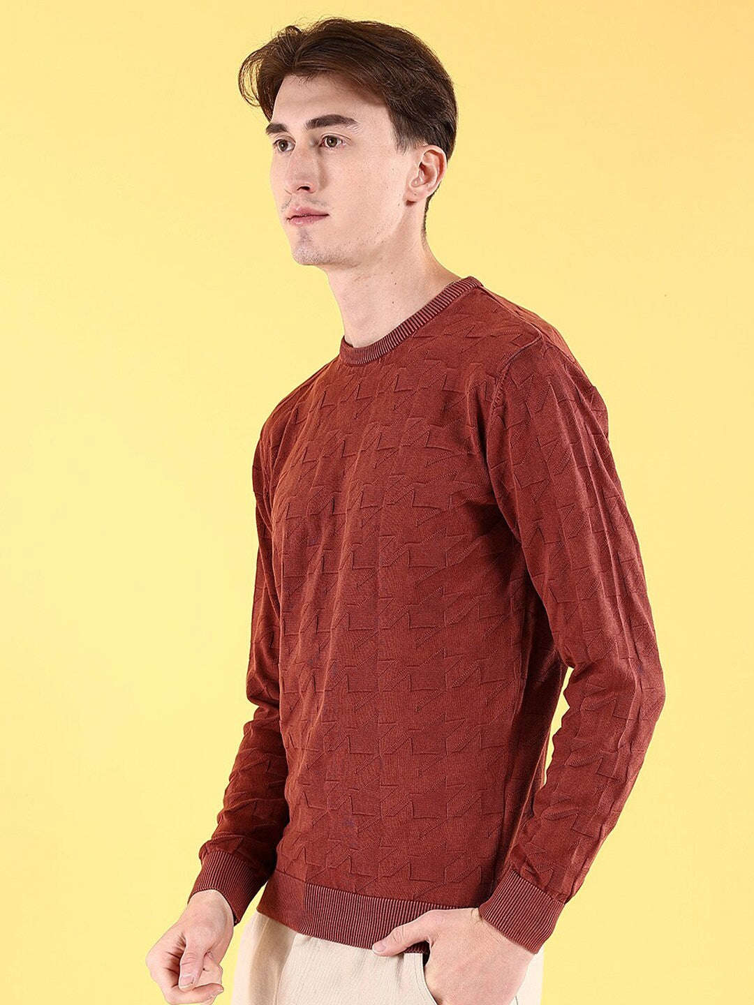 Men's Textured Regular Fit Sweater