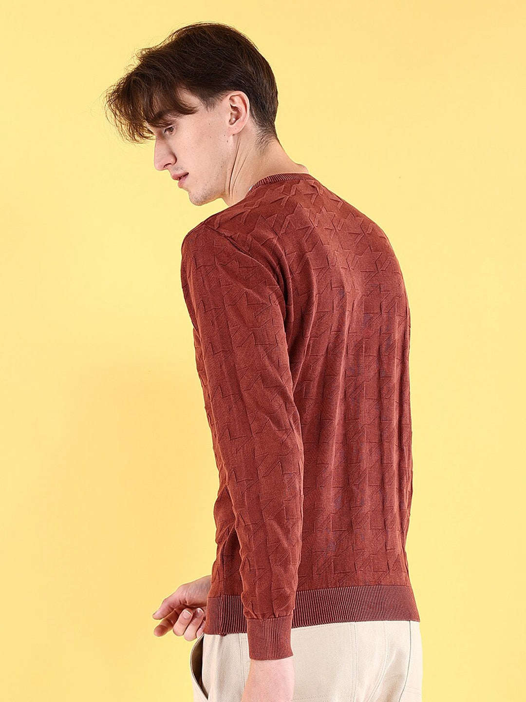 Men's Textured Regular Fit Sweater