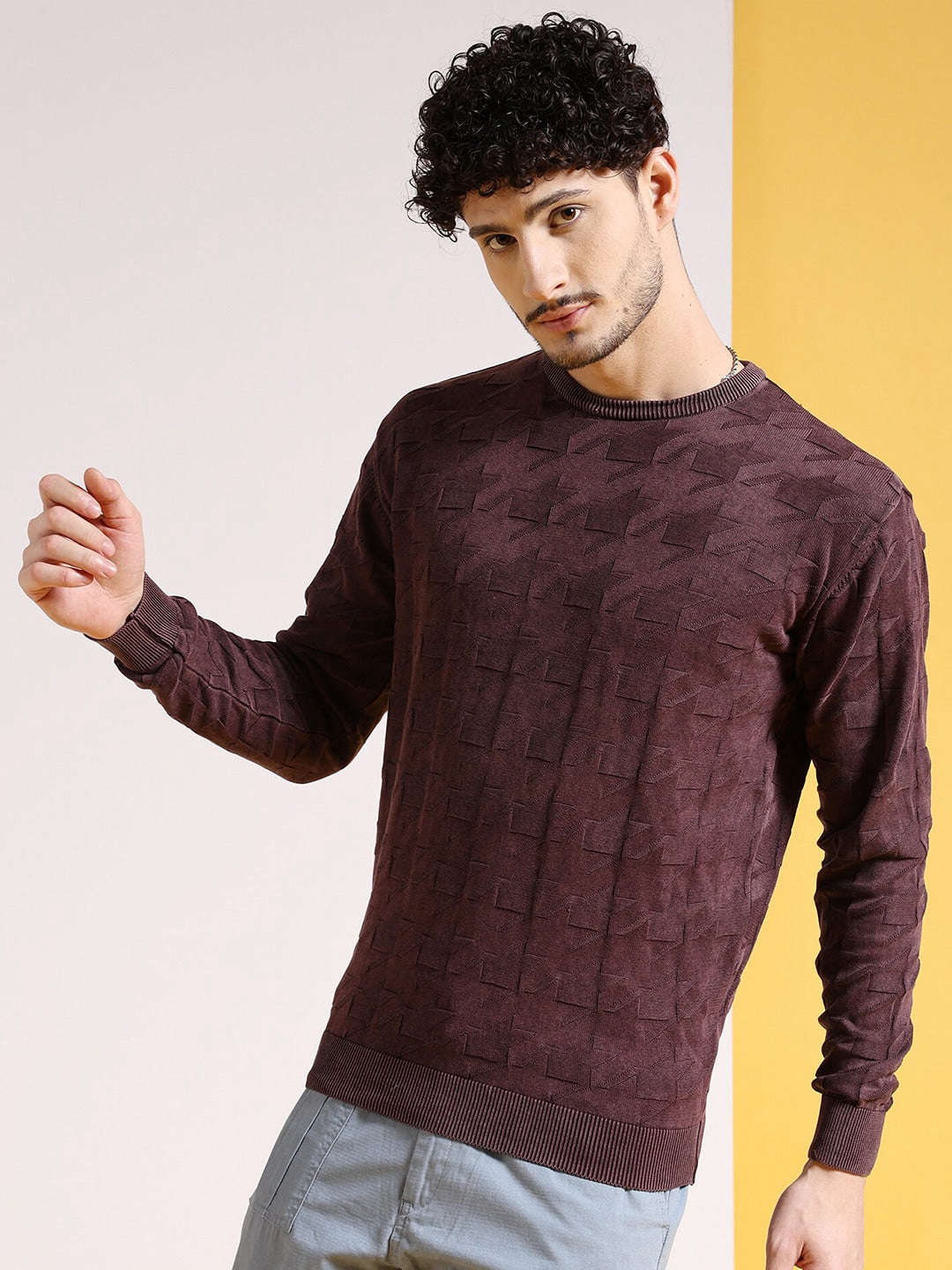 Men's Textured Regular Fit Sweater